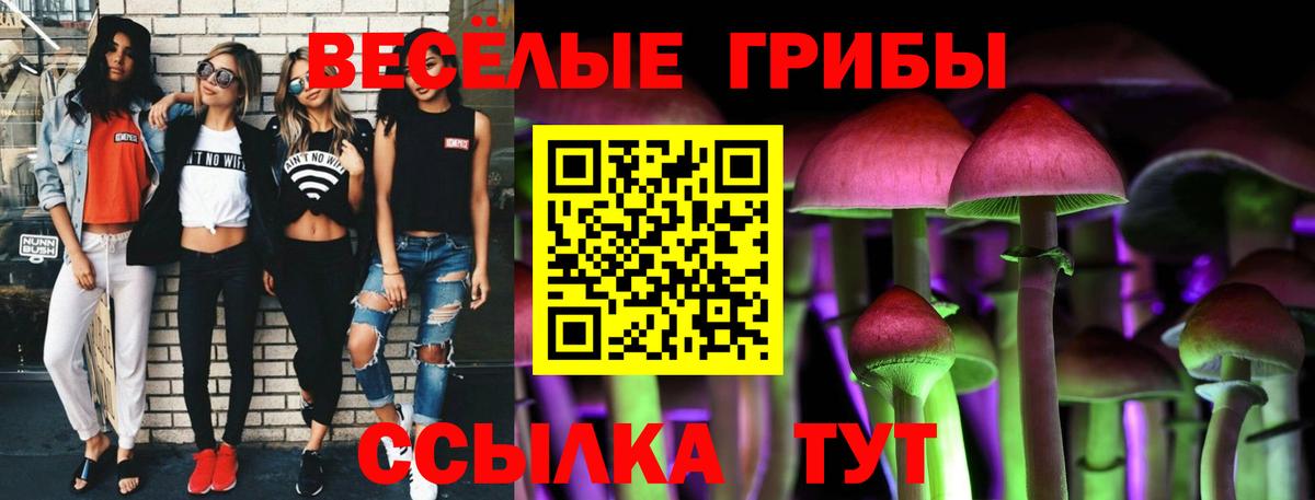 Гагарин  Галлюциногенные грибы Magic Shrooms  Вход с VPN 